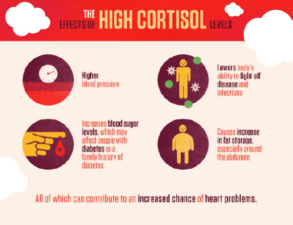 Další sabotér: kortizol