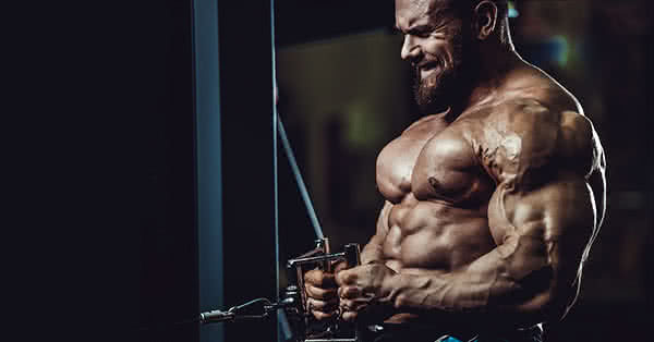 Je stejně důležité si svaly udržet, jako je získat. You don't only have to get muscles, but you should be able to keep them.